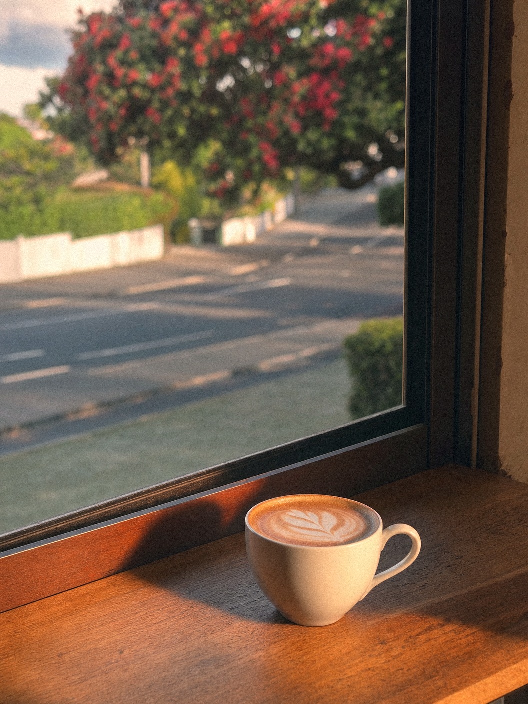 Flat white coffee on Auckland windowsill — placeholder